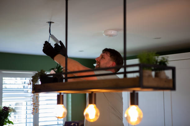 Best Electric Panel Repair  in Lino Lakes, MN